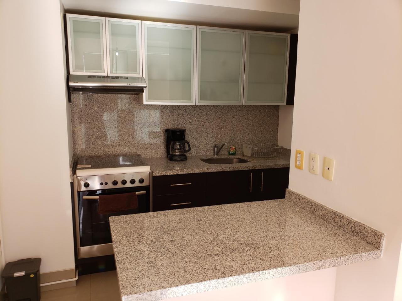 The New Puerta Alameda Luxury Lofts Apartment *